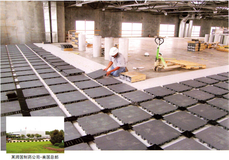 制藥公司網(wǎng)絡(luò)地板